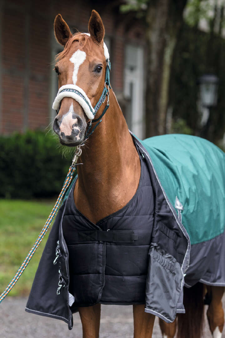 KANTRIE Thermo-Unterdecke 100 g